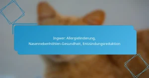 Ingwer: Allergielinderung, Nasennebenhöhlen-Gesundheit, Entzündungsreduktion