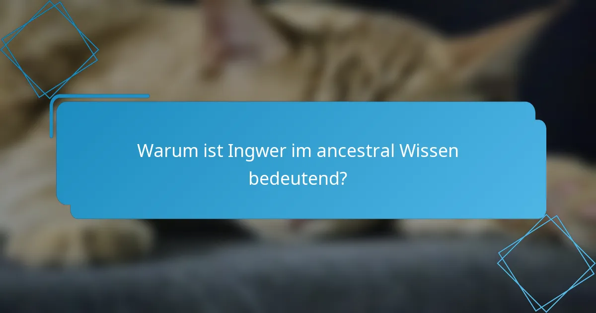 Warum ist Ingwer im ancestral Wissen bedeutend?