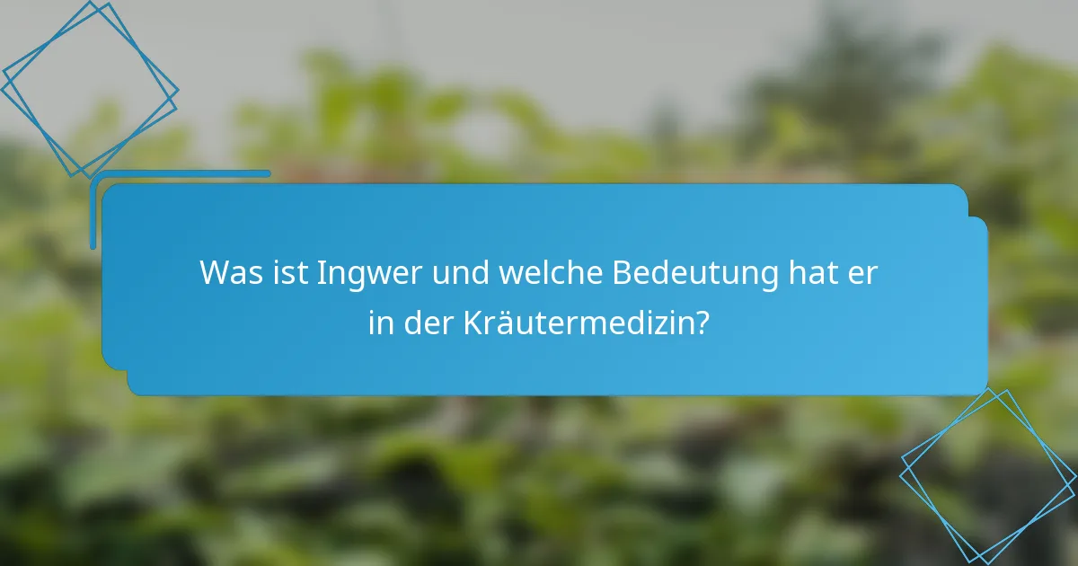 Was ist Ingwer und welche Bedeutung hat er in der Kräutermedizin?