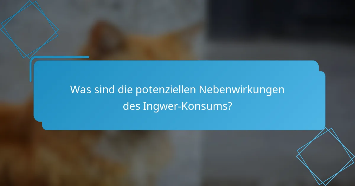 Was sind die potenziellen Nebenwirkungen des Ingwer-Konsums?