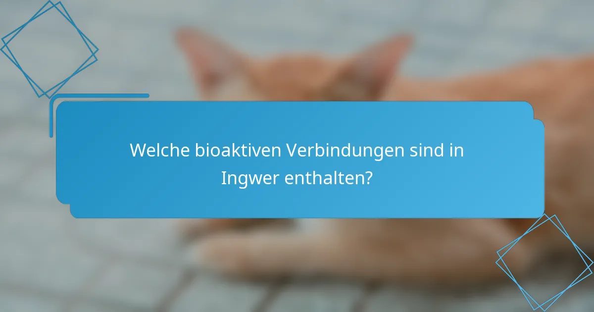 Welche bioaktiven Verbindungen sind in Ingwer enthalten?