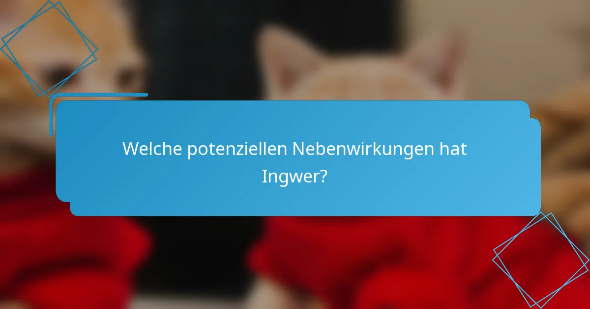 Welche potenziellen Nebenwirkungen hat Ingwer?