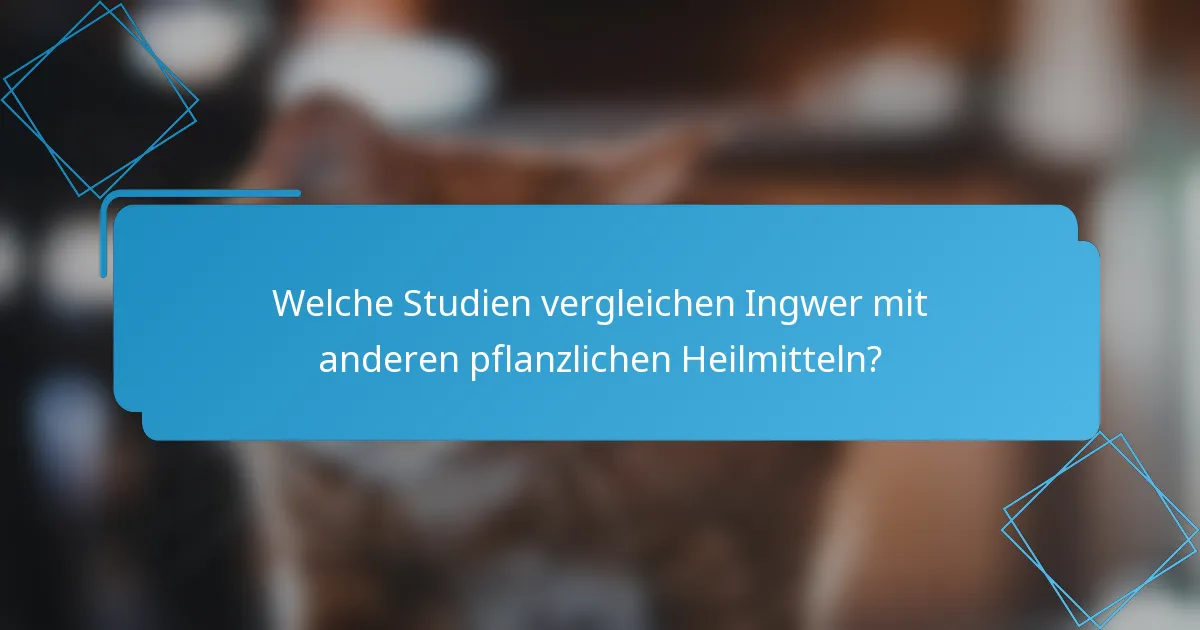 Welche Studien vergleichen Ingwer mit anderen pflanzlichen Heilmitteln?