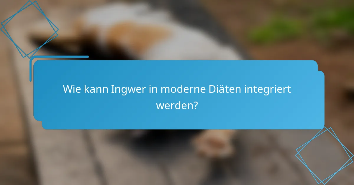 Wie kann Ingwer in moderne Diäten integriert werden?