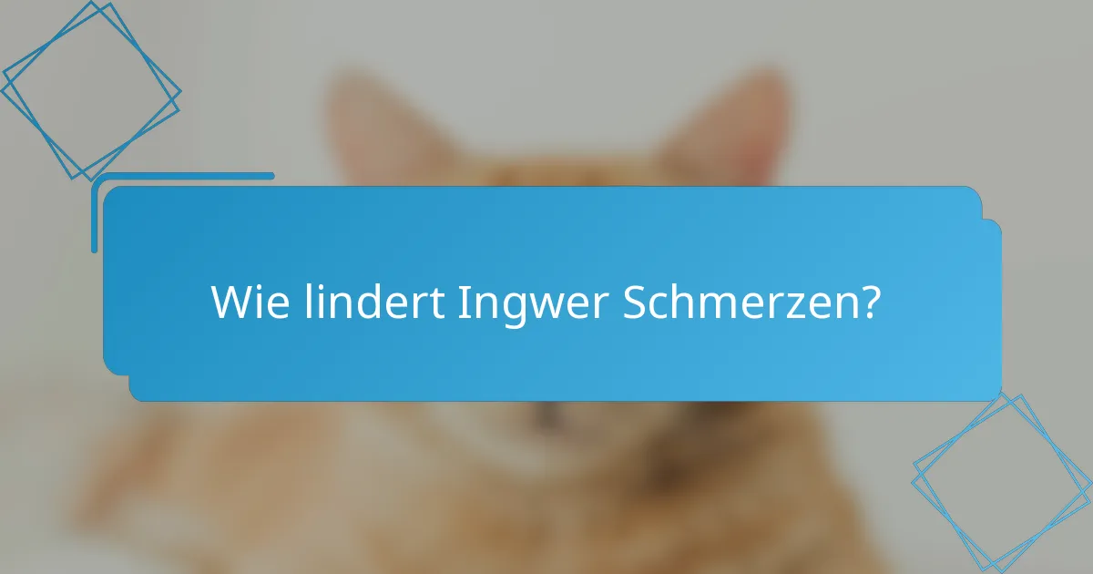 Wie lindert Ingwer Schmerzen?