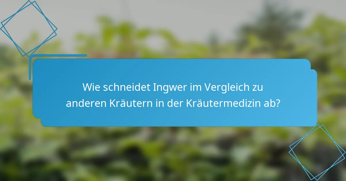 Wie schneidet Ingwer im Vergleich zu anderen Kräutern in der Kräutermedizin ab?