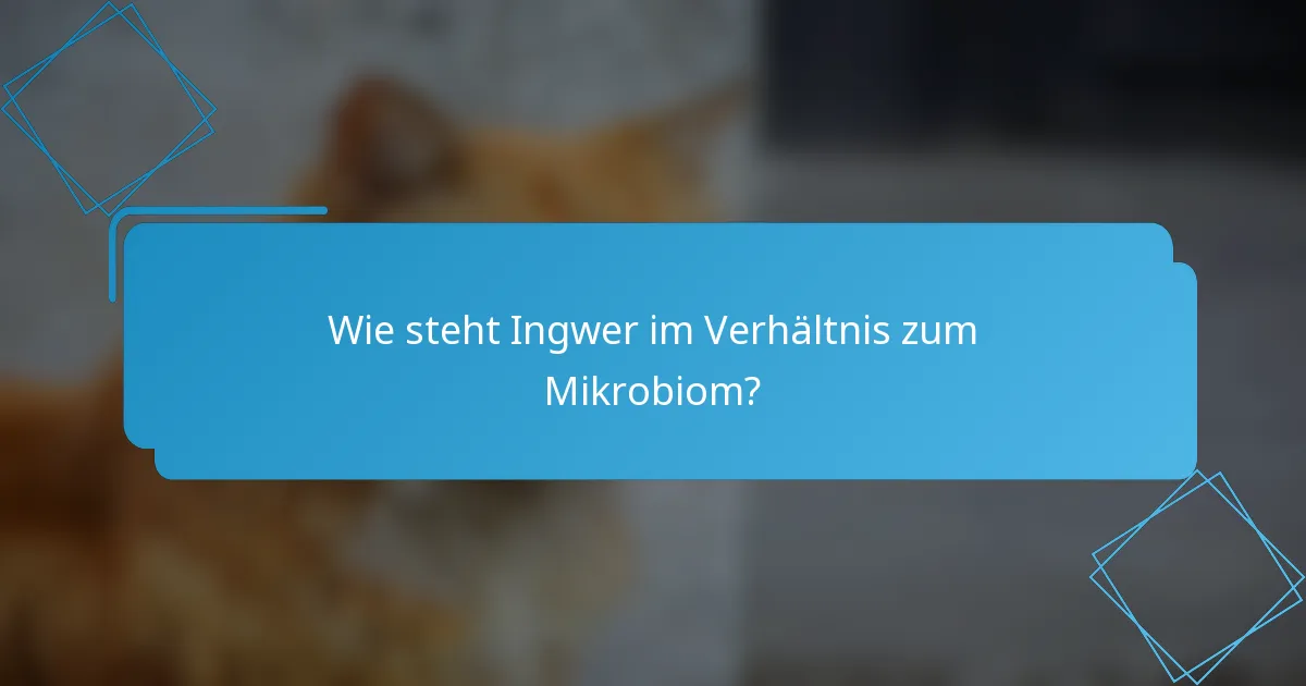 Wie steht Ingwer im Verhältnis zum Mikrobiom?