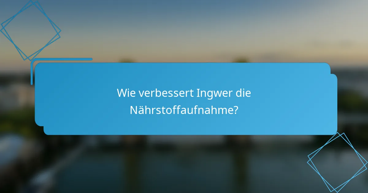 Wie verbessert Ingwer die Nährstoffaufnahme?