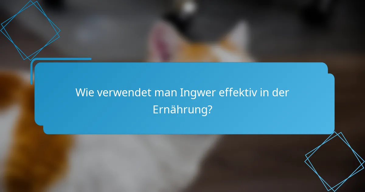 Wie verwendet man Ingwer effektiv in der Ernährung?