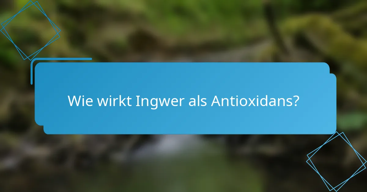 Wie wirkt Ingwer als Antioxidans?